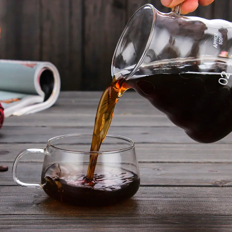 Salonnieres Pour-Over Decanter