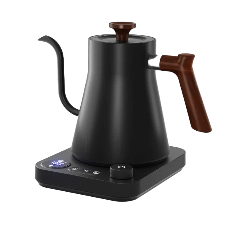The Ritual Kettle — Salonnières Precision Pour