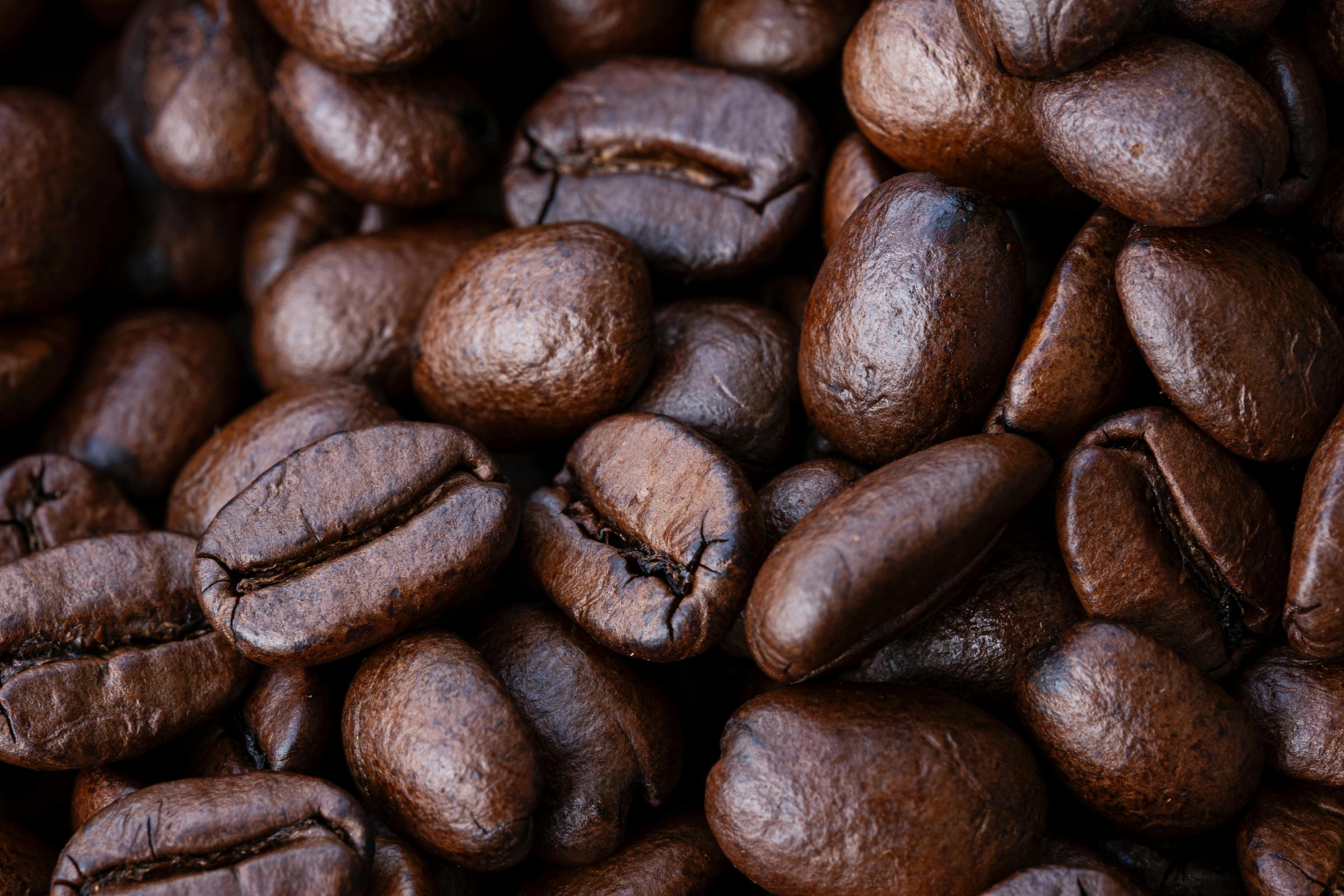 coffee beans roasted 
